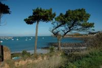 Gîte Le bord de mer en baie de morlaix à plougasnou-plougasnou - Primel-tregastel