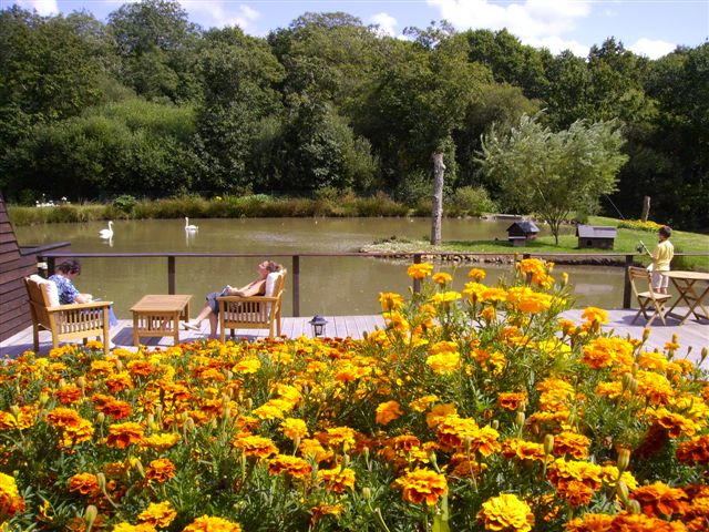 vue sur l'etang
