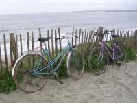 La plage des sables blancs - Double-cliquez pour afficher l'image en grand.