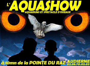 affiche aquashow audierne
